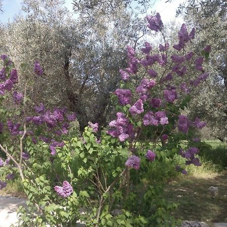 Masseria Costanza Путиняно Екстериор снимка