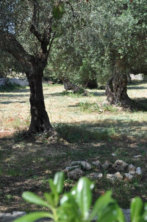 Masseria Costanza Путиняно Екстериор снимка